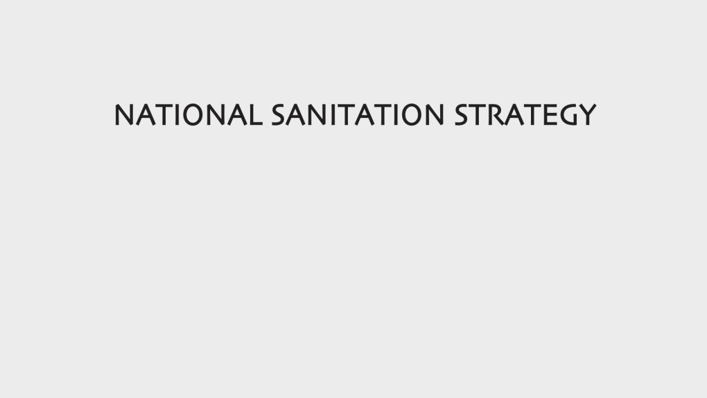 National Sanitation Strategy)