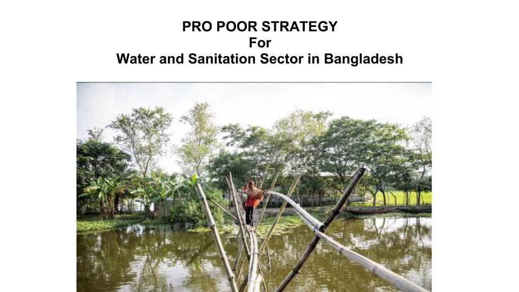 Pro Poor Strategy for Water and Sanitation Sector in Bangladesh)